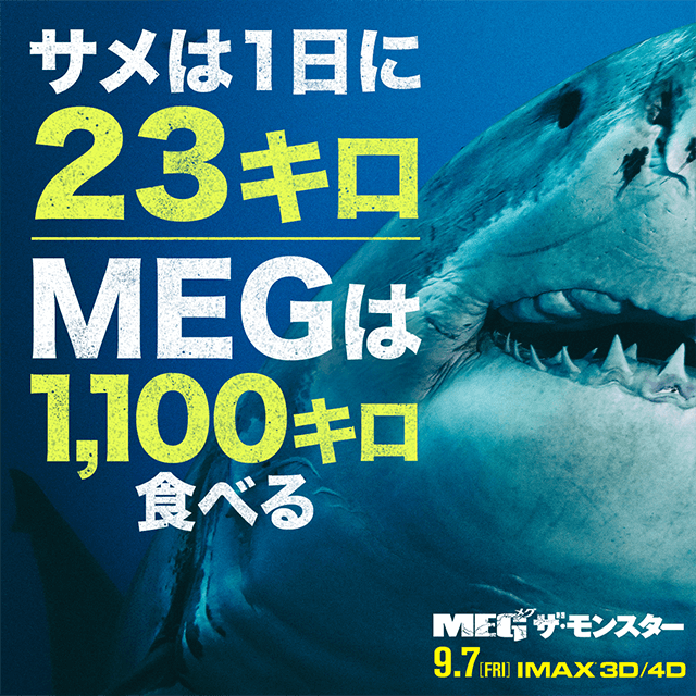 サメは1日に23キロ、MEGは1,100キロ食べる