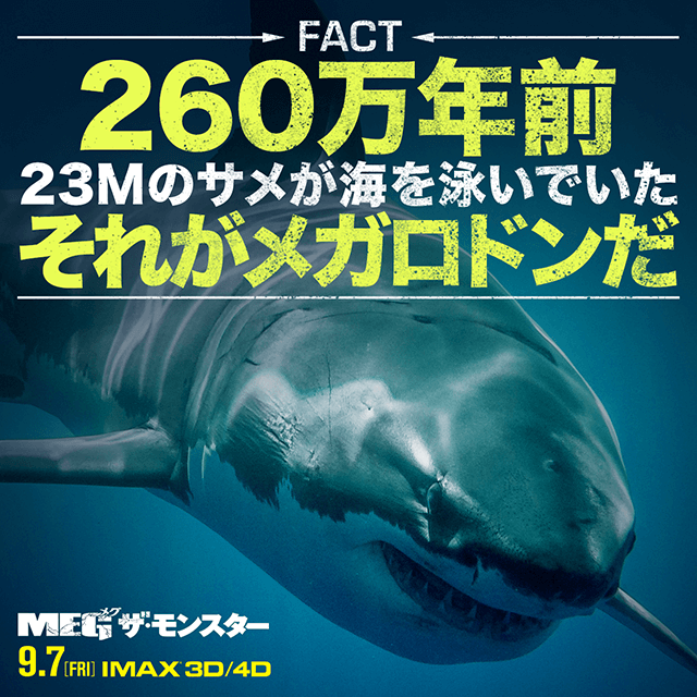 260年前23Mのサメが海を泳いでいた　それがメガトロドンだ